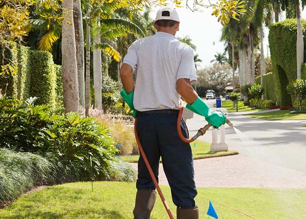 About Dunkirk OH Pest Control